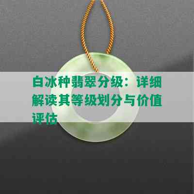 白冰种翡翠分级：详细解读其等级划分与价值评估