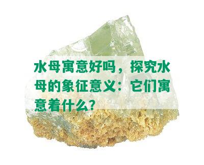 水母寓意好吗，探究水母的象征意义：它们寓意着什么？