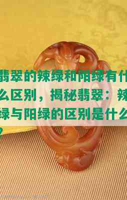 翡翠的辣绿和阳绿有什么区别，揭秘翡翠：辣绿与阳绿的区别是什么？