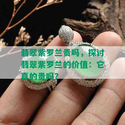 翡翠紫罗兰贵吗，探讨翡翠紫罗兰的价值：它真的贵吗？