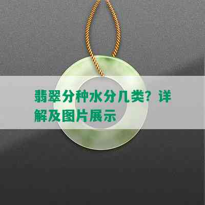 翡翠分种水分几类？详解及图片展示