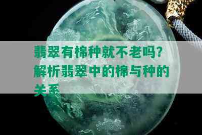 翡翠有棉种就不老吗？解析翡翠中的棉与种的关系