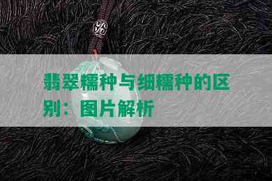 翡翠糯种与细糯种的区别：图片解析