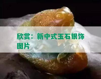 欣赏：新中式玉石银饰图片