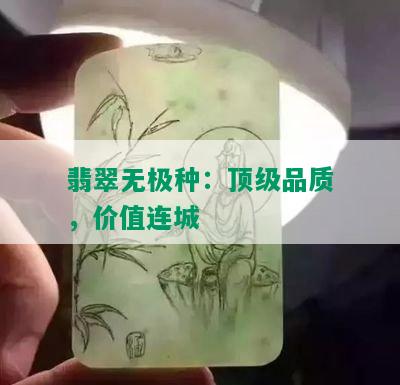 翡翠无极种：顶级品质，价值连城