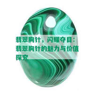 翡翠胸针，闪耀夺目：翡翠胸针的魅力与价值探究