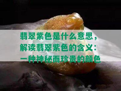 翡翠紫色是什么意思，解读翡翠紫色的含义：一种神秘而珍贵的颜色