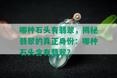 哪种石头有翡翠，揭秘翡翠的真正身份：哪种石头含有翡翠？