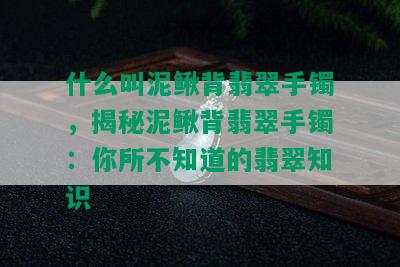 什么叫泥鳅背翡翠手镯，揭秘泥鳅背翡翠手镯：你所不知道的翡翠知识