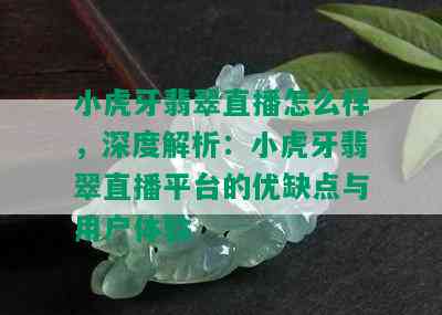 小虎牙翡翠直播怎么样，深度解析：小虎牙翡翠直播平台的优缺点与用户体验