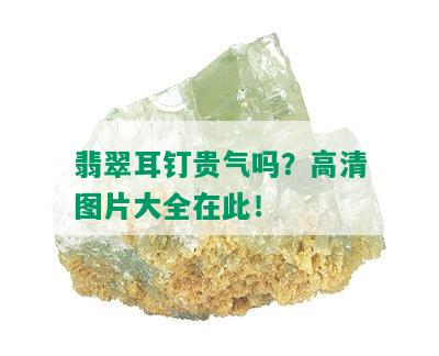 翡翠耳钉贵气吗？高清图片大全在此！