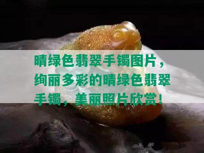 晴绿色翡翠手镯图片，绚丽多彩的晴绿色翡翠手镯，美丽照片欣赏！