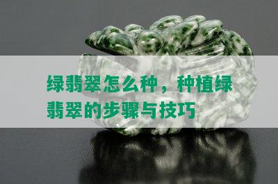 绿翡翠怎么种，种植绿翡翠的步骤与技巧