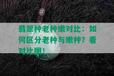 翡翠种老种嫩对比：如何区分老种与嫩种？看对比图！