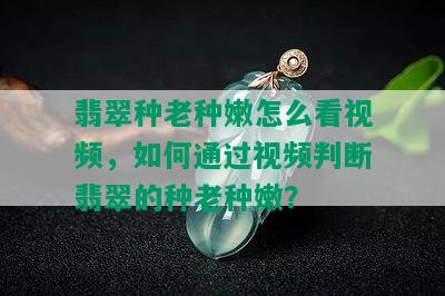 翡翠种老种嫩怎么看视频，如何通过视频判断翡翠的种老种嫩？