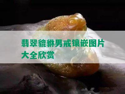 翡翠貔貅男戒镶嵌图片大全欣赏