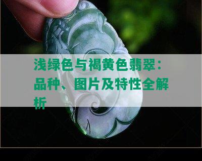 浅绿色与褐黄色翡翠：品种、图片及特性全解析