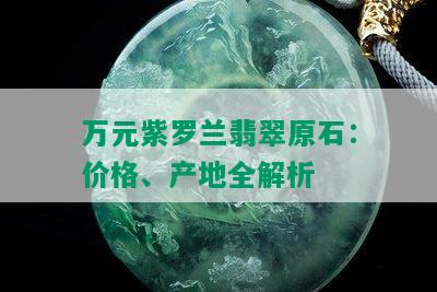 万元紫罗兰翡翠原石：价格、产地全解析