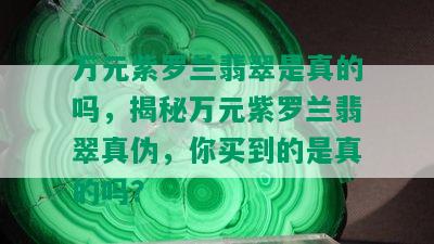 万元紫罗兰翡翠是真的吗，揭秘万元紫罗兰翡翠真伪，你买到的是真的吗？