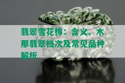 翡翠雪花棉：含义、木那翡翠档次及常见品种解析