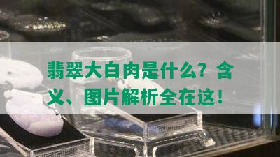 翡翠大白肉是什么？含义、图片解析全在这！