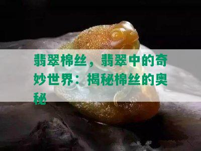 翡翠棉丝，翡翠中的奇妙世界：揭秘棉丝的奥秘