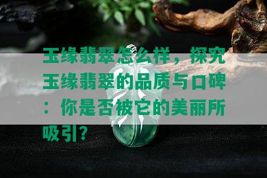 玉缘翡翠怎么样，探究玉缘翡翠的品质与口碑：你是否被它的美丽所吸引？