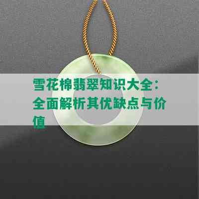 雪花棉翡翠知识大全：全面解析其优缺点与价值