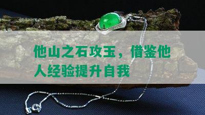 他山之石攻玉，借鉴他人经验提升自我