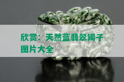 欣赏：天然蓝翡翠镯子图片大全