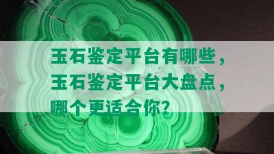 玉石鉴定平台有哪些，玉石鉴定平台大盘点，哪个更适合你？