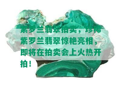 紫罗兰翡翠拍卖，珍稀紫罗兰翡翠惊艳亮相，即将在拍卖会上火热开拍！