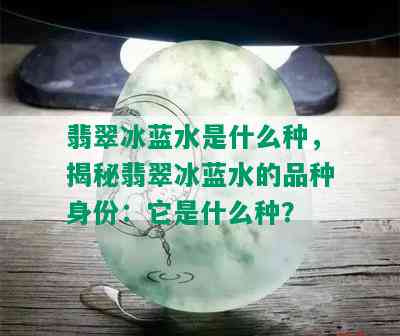 翡翠冰蓝水是什么种，揭秘翡翠冰蓝水的品种身份：它是什么种？