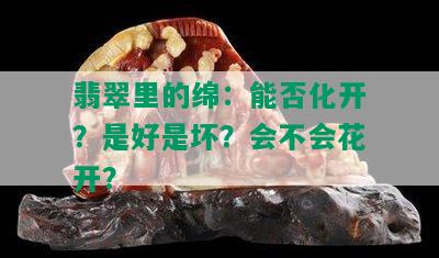 翡翠里的绵：能否化开？是好是坏？会不会花开？