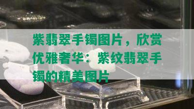 紫翡翠手镯图片，欣赏优雅奢华：紫纹翡翠手镯的精美图片