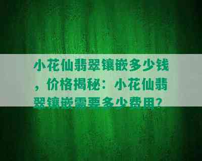 小花仙翡翠镶嵌多少钱，价格揭秘：小花仙翡翠镶嵌需要多少费用？