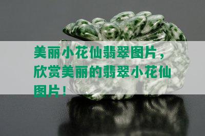 美丽小花仙翡翠图片，欣赏美丽的翡翠小花仙图片！