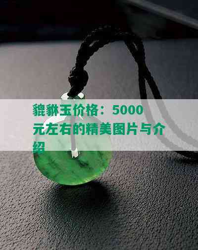 貔貅玉价格：5000元左右的精美图片与介绍