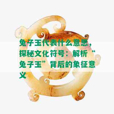 兔子玉代表什么意思，探秘文化符号：解析“兔子玉”背后的象征意义