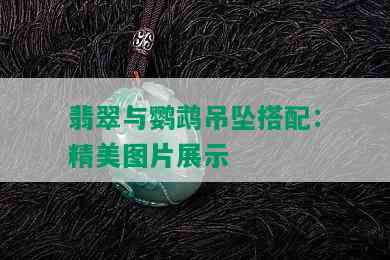 翡翠与鹦鹉吊坠搭配：精美图片展示