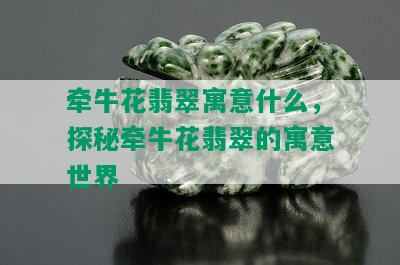 牵牛花翡翠寓意什么，探秘牵牛花翡翠的寓意世界