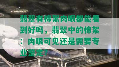 翡翠有棉絮肉眼都能看到好吗，翡翠中的棉絮：肉眼可见还是需要专业鉴定？