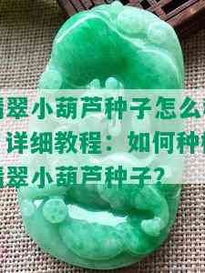 翡翠小葫芦种子怎么种，详细教程：如何种植翡翠小葫芦种子？