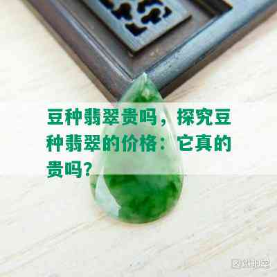 豆种翡翠贵吗，探究豆种翡翠的价格：它真的贵吗？