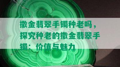 撒金翡翠手镯种老吗，探究种老的撒金翡翠手镯：价值与魅力