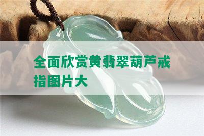 全面欣赏黄翡翠葫芦戒指图片大