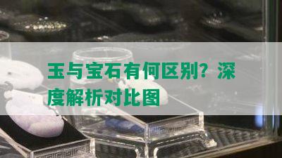 玉与宝石有何区别？深度解析对比图