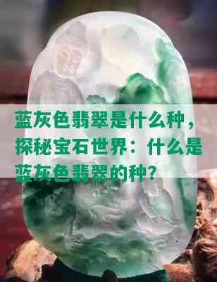 蓝灰色翡翠是什么种，探秘宝石世界：什么是蓝灰色翡翠的种？