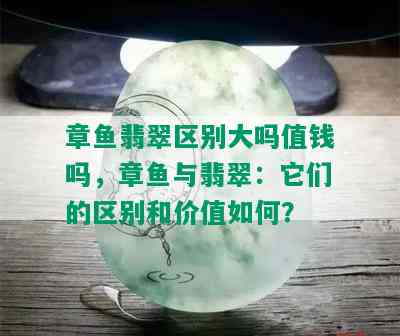 章鱼翡翠区别大吗值钱吗，章鱼与翡翠：它们的区别和价值如何？