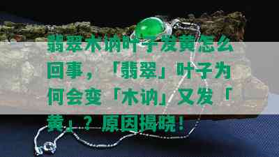 翡翠木讷叶子发黄怎么回事，「翡翠」叶子为何会变「木讷」又发「黄」？原因揭晓！